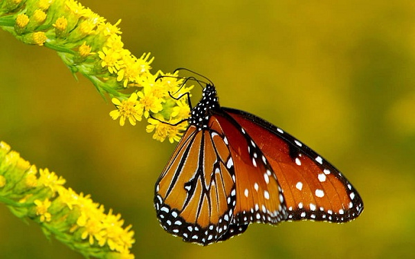 3 (600x375, 220Kb)