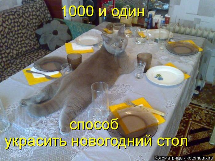 4743317_kotomatritsa_0 (700x524, 64Kb)