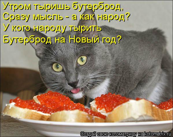 4743317_kotomatritsa_h (599x476, 62Kb)