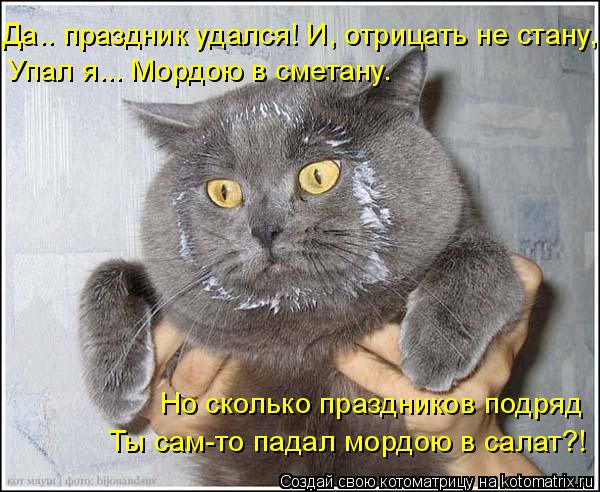 4743317_kotomatritsa_B (600x492, 67Kb)