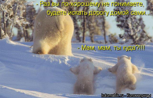 4743317_A (640x411, 48Kb)