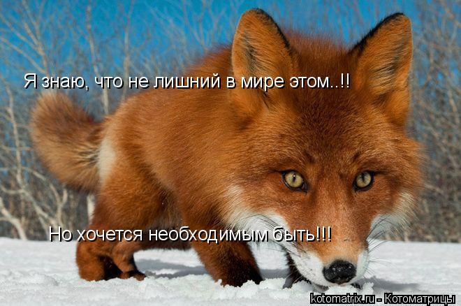 4743317_kz (660x438, 59Kb)