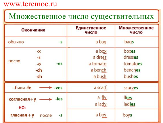 В данном множественном числе. Множественное число в английском игры для детей. Игры во множественном числе. Собаки по-английски во множественном числе. Игры на мн число в английском.