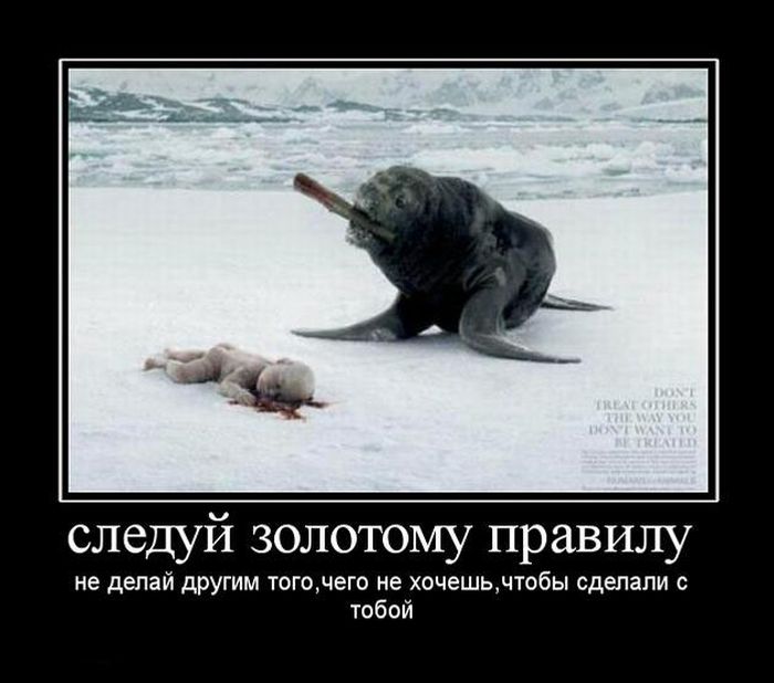 4743317_demotivatory_76 (700x618, 54Kb)