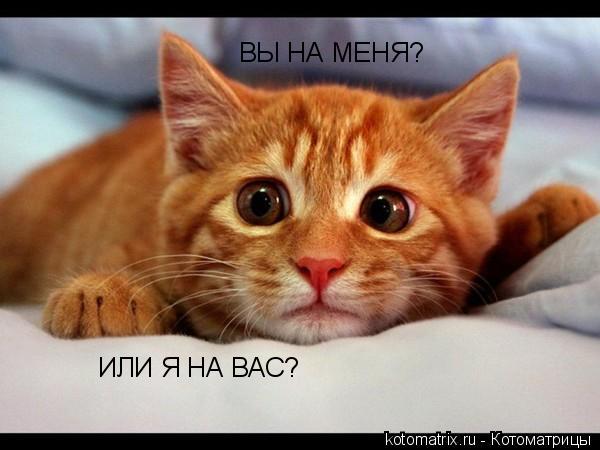 4743317_IJ (600x450, 35Kb)