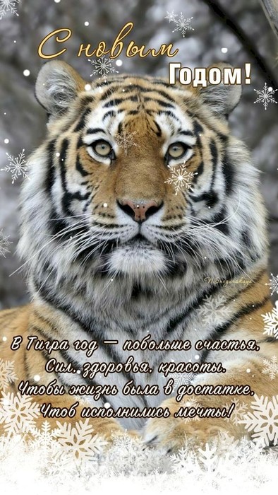 14eda50d (394x700, 110Kb)