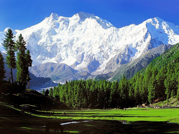 nanaga-parbat-pakistan (700x525, 469Kb)