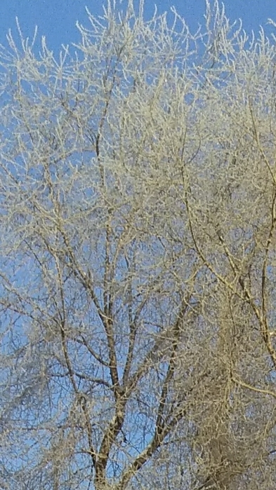 Screenshot_2022-01-04-14-21-16 (393x700, 253Kb)