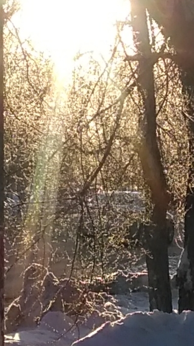 Screenshot_2022-01-04-14-23-23 (393x700, 197Kb)