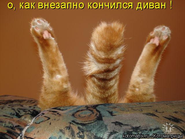 4743317_4 (640x480, 47Kb)