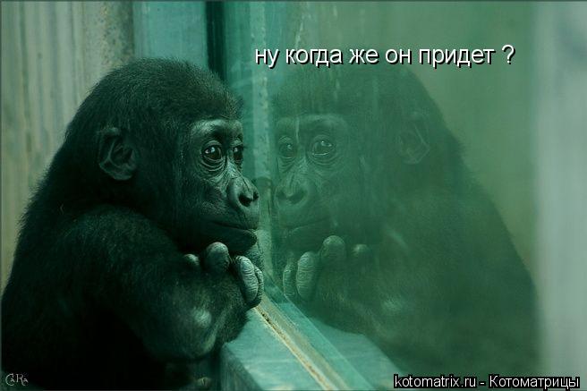 4743317_9 (656x437, 32Kb)