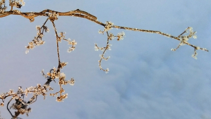 Screenshot_2022-01-05-14-27-52 (700x393, 166Kb)