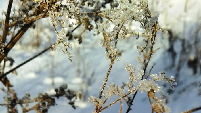 Screenshot_2022-01-05-14-26-46 (700x393, 217Kb)