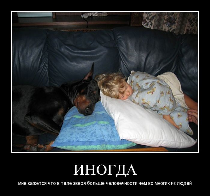 4743317_demotivatori_04 (700x653, 54Kb)