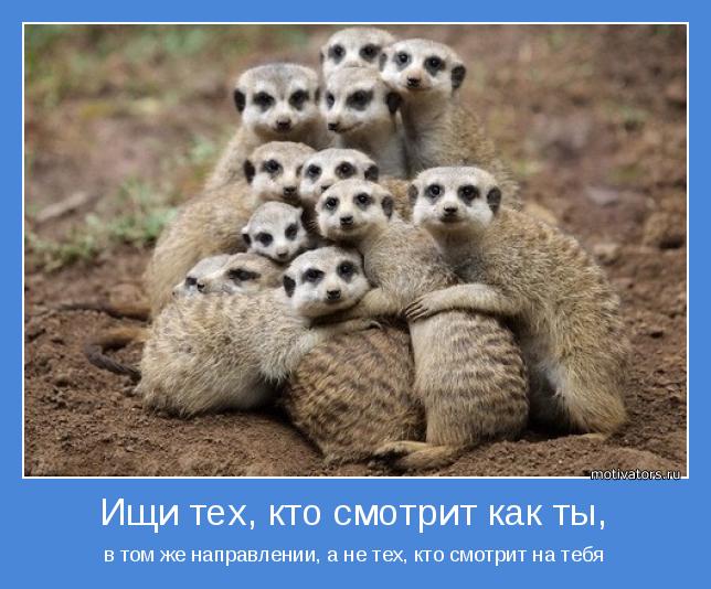 4743317_motivator47561 (644x534, 58Kb)