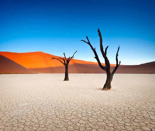 4743317_1_MertvayadolinavNamibii11024x866 (640x541, 87Kb)