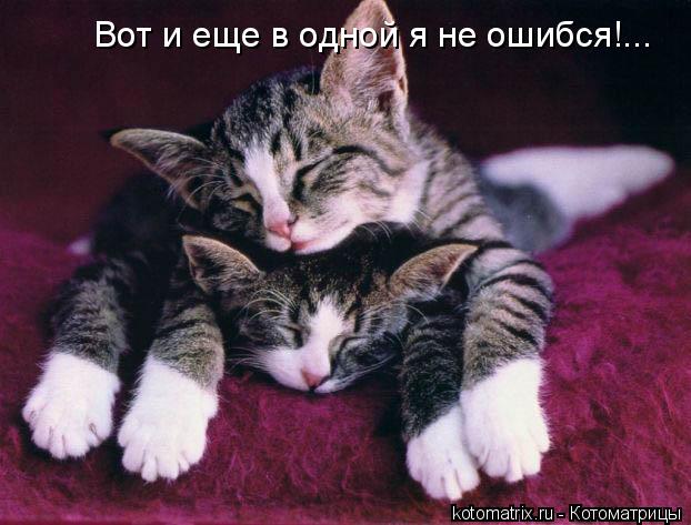 4743317_b (622x473, 49Kb)