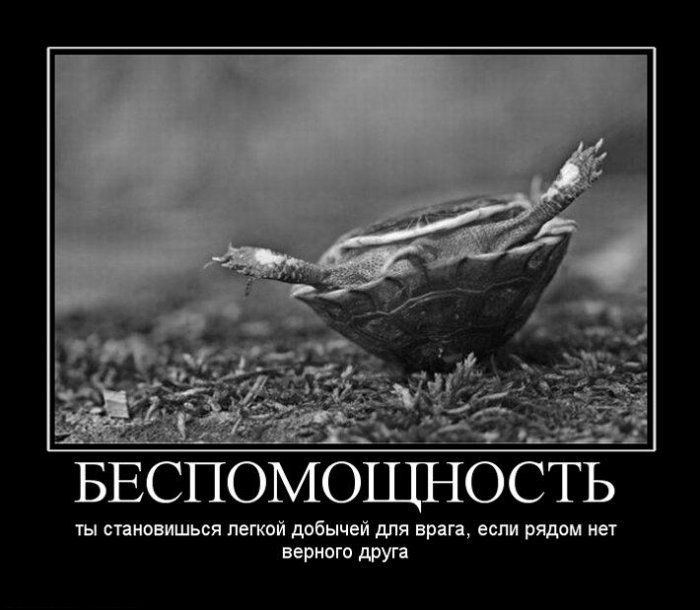 4743317_demotivatori_58 (700x610, 54Kb)