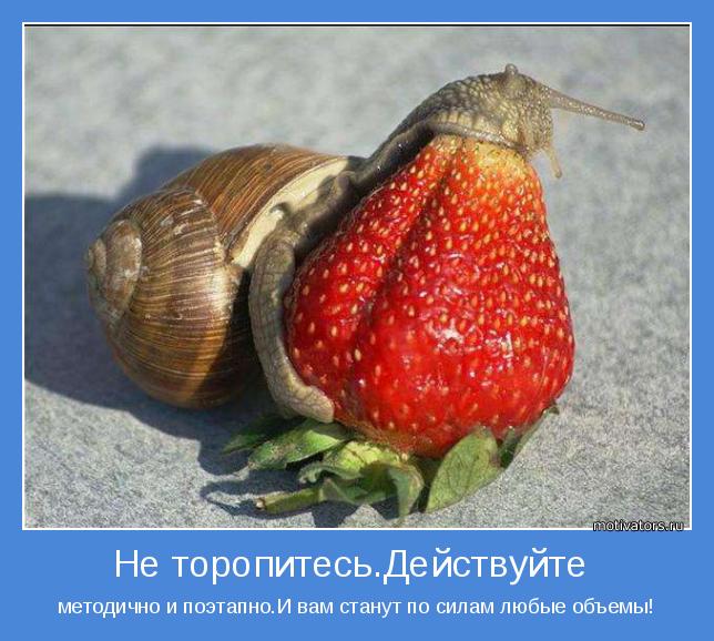 4743317_motivator47800 (644x578, 63Kb)