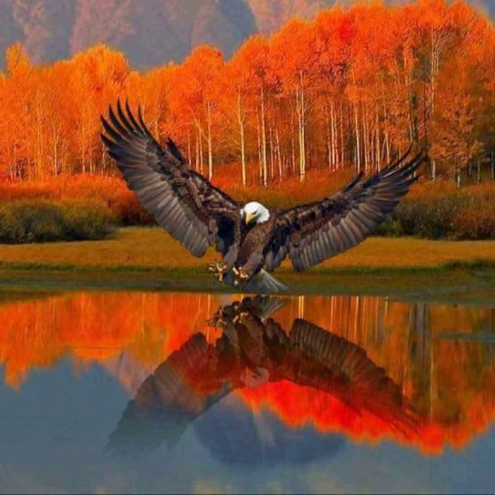 i (1)ю (700x700, 138Kb)