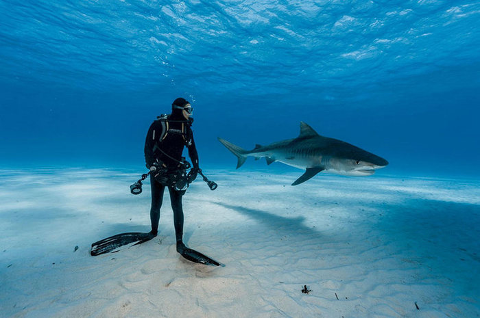 3437583__ot_national_Geographic_2 (700x465, 66Kb)