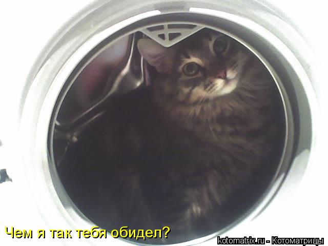 4743317_YK (640x480, 28Kb)