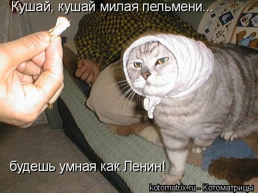 4743317_N (512x384, 39Kb)