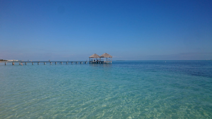 3 IMG-20220104-WA0005 (700x393, 215Kb)