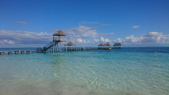 7 IMG-20220106-WA0008 (700x393, 242Kb)