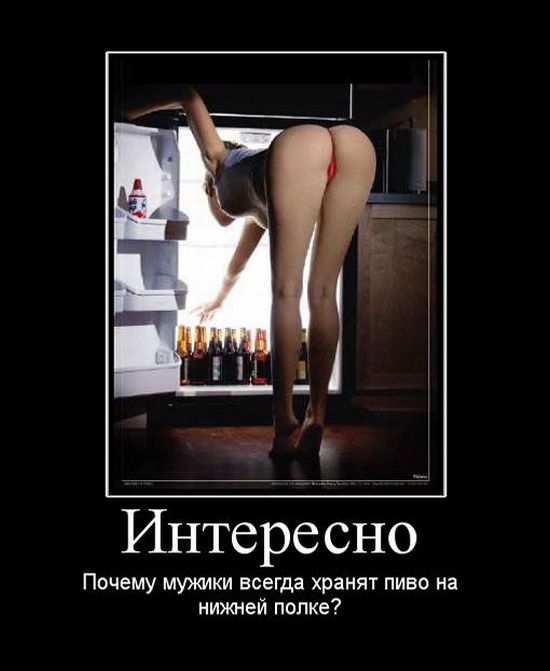 4743317_demotivatori_40 (550x671, 35Kb)