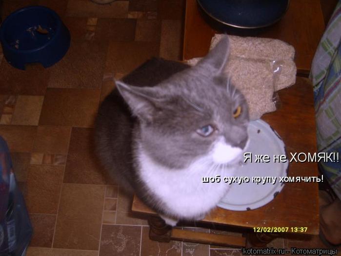 4743317_3P (700x524, 39Kb)