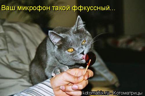 4743317_zv (500x331, 26Kb)