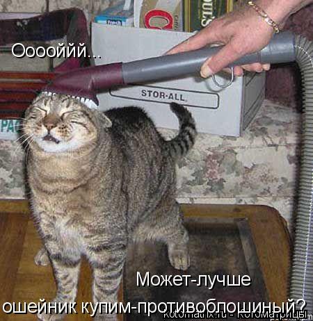 4743317_UO (450x462, 45Kb)