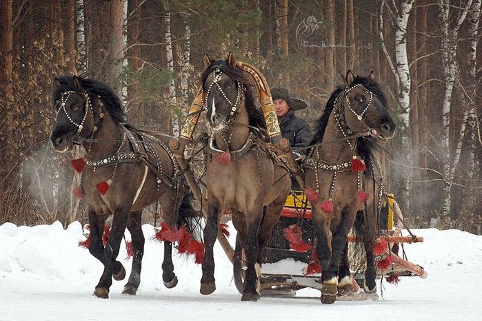 5182169_igor212071920113911_2 (700x466, 109Kb)