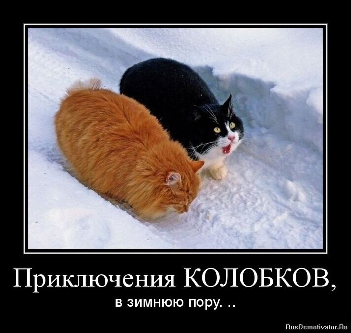 4743317_i_jpgvi (700x662, 83Kb)
