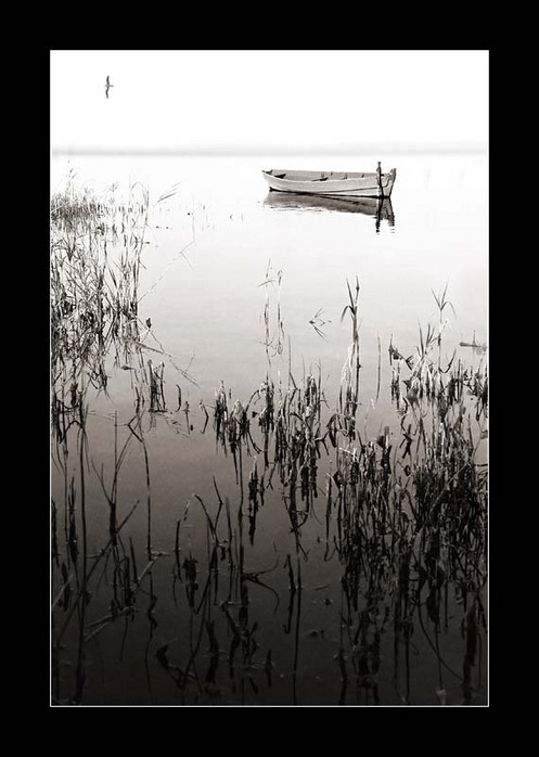 3155123_22985770_1_ (497x698, 72Kb)