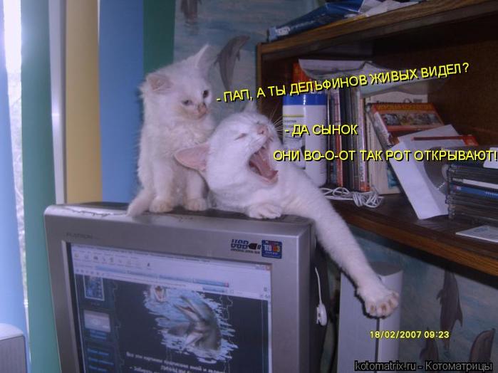 4743317_iP (700x524, 46Kb)