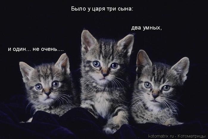 4743317_jx (700x466, 35Kb)