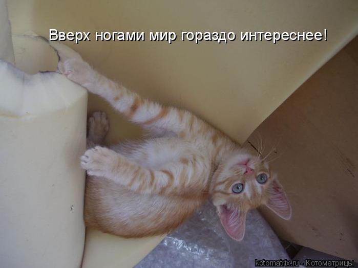 4743317_Bv (700x524, 29Kb)
