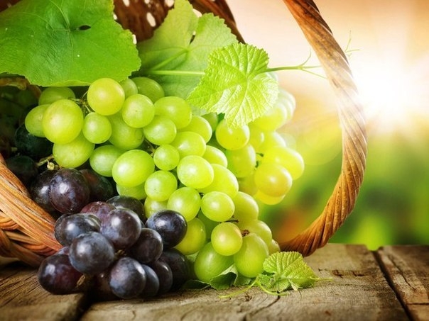 5774028_vinograd (604x453, 161Kb)