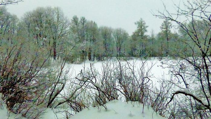 06 01 22   (700x395, 81Kb)