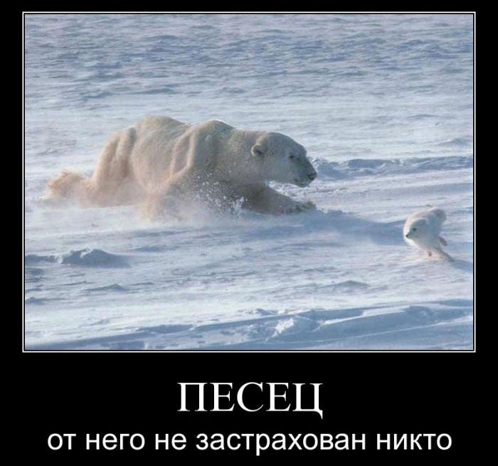 4743317_demotivatori_53 (700x655, 67Kb)