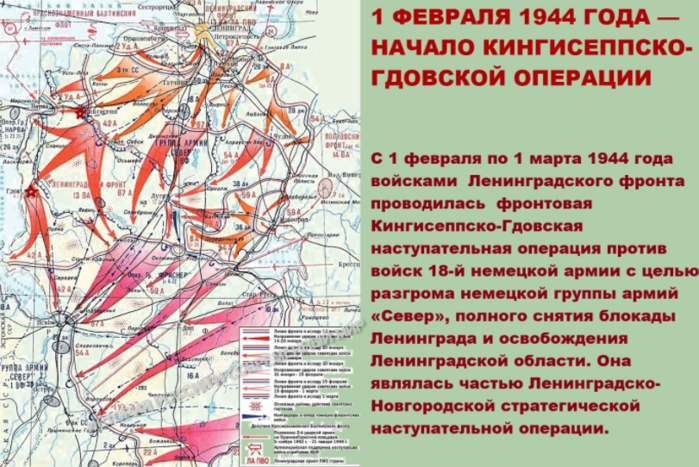 Новгородская операция 1944