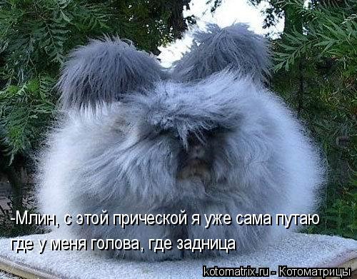 4743317_To (500x391, 56Kb)