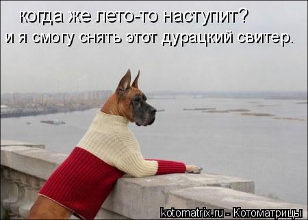 4743317_vw (450x321, 23Kb)