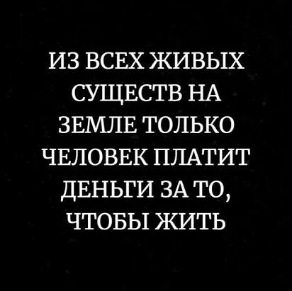 4743317_i_jpgr (412x411, 27Kb)