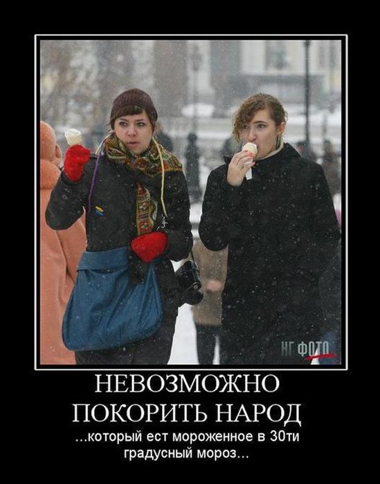 4743317_demotivatory_13 (549x700, 54Kb)