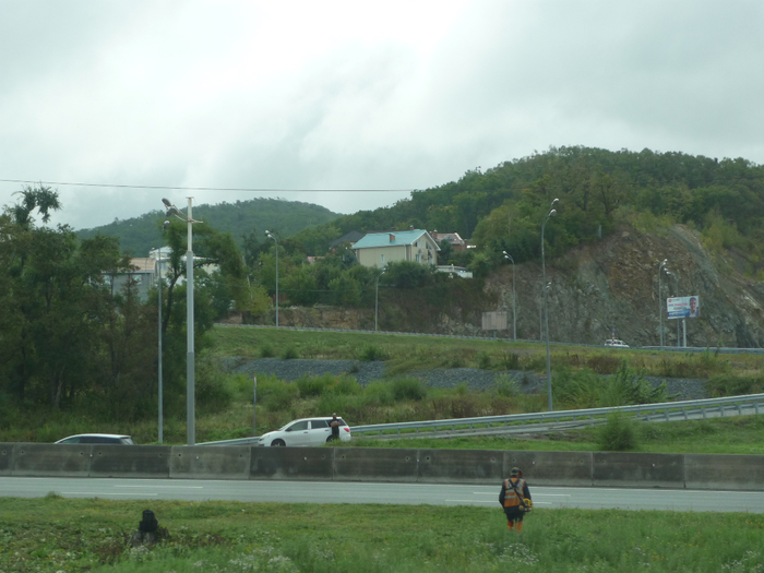 P1300373 (700x525, 336Kb)