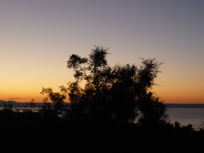 P1300401 (700x525, 251Kb)