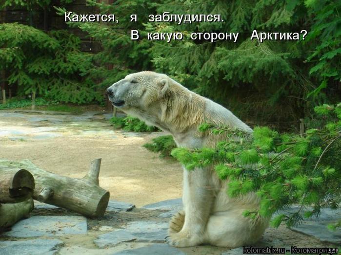 4743317_MO (700x524, 71Kb)